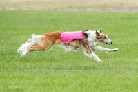 1 Prelims Silken Singles Charlie-9892