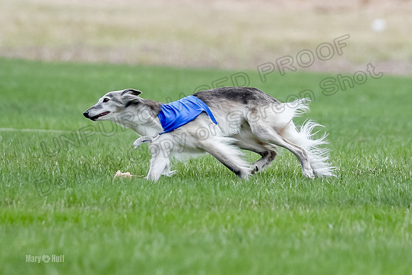 1 Prelims Silken Singles Moonshine-9841