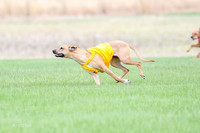 1 Prelim RR Open 1, Islay Kya Ace-9120