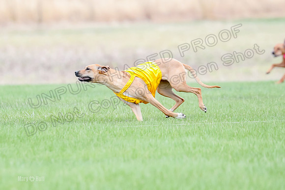 1 Prelim RR Open 1, Islay Kya Ace-9120