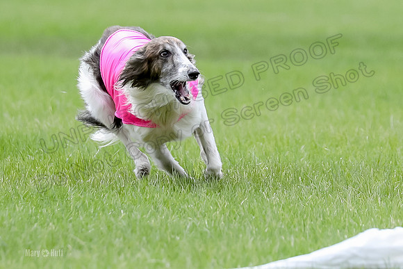 2 Finals Fch, Joker Finnegan-0116