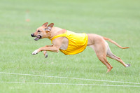 1 Prelim RR Open 1, Islay Kya Ace-9129