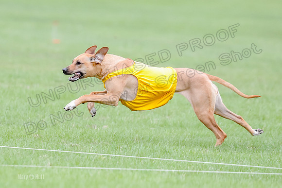 1 Prelim RR Open 1, Islay Kya Ace-9129