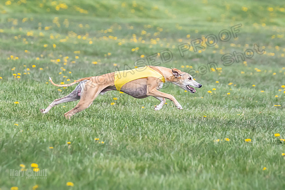 1 Prelim FCh A2 Keegan Really Rush-6662