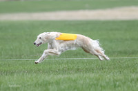 1 Prelims Silken Singles Isaly-9794