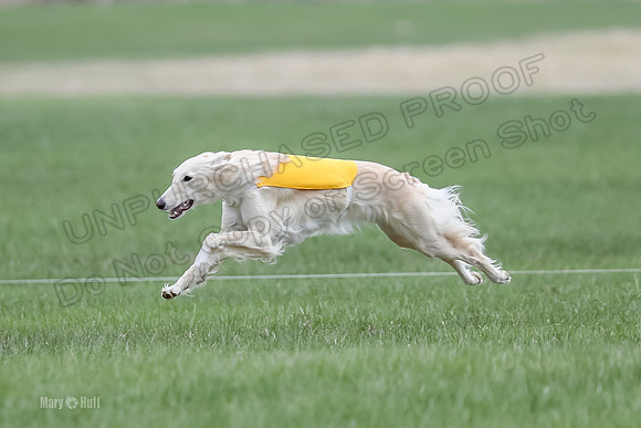 1 Prelims Silken Singles Isaly-9794