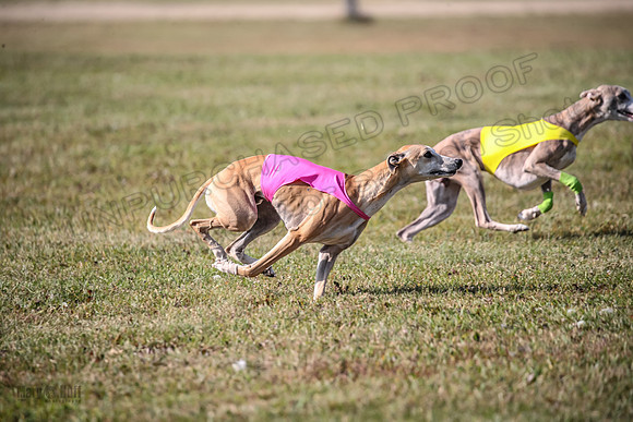 Finals Open 2 Fennec Keegan AnnieOakley-3893
