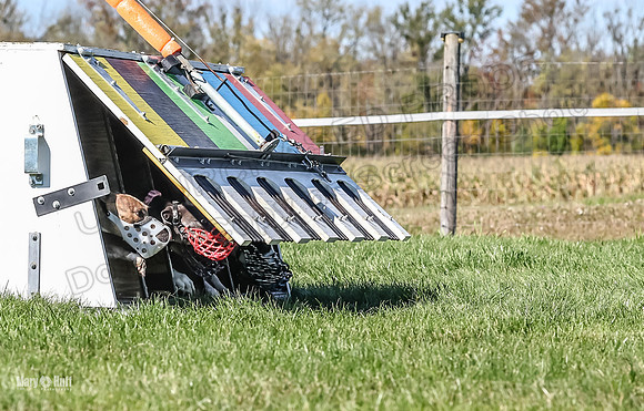 5C7A0749