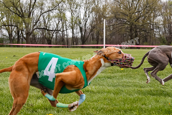 WRA, Prg 4, Race and 7, Voodoo Snacks Java Savvy Entei Henry-9391
