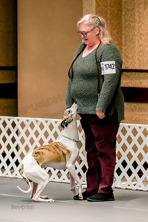 AE4I6697
