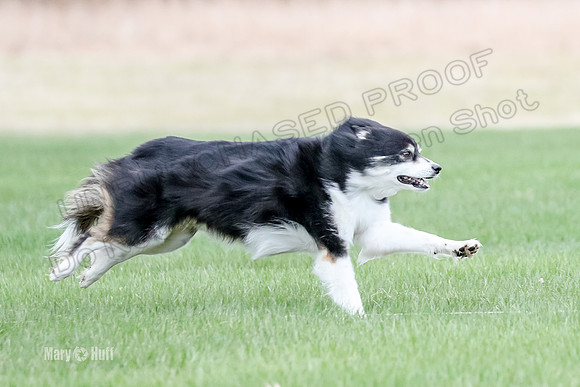 AE4I7300