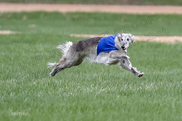 1 Prelims Silken Singles Moonshine-9828