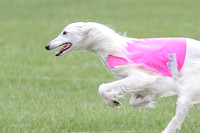 1 Prelims Fch, Finnegan Joker-9471