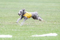 1 Prelims LCI Ellie-0039