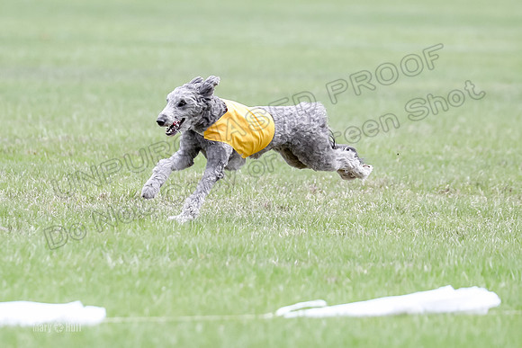 1 Prelims LCI Ellie-0039