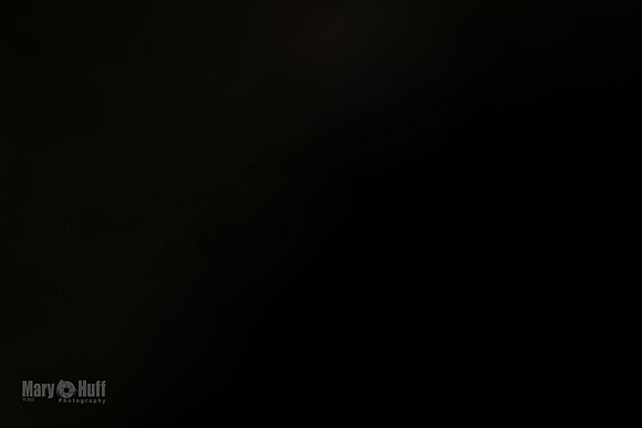 AE4I7387