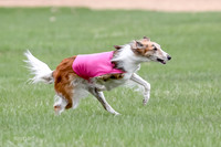 1 Prelims Silken Singles Charlie-9885