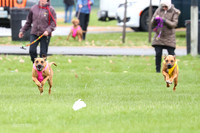 1 Prelim RR Open 2, Kinky Opal-9134