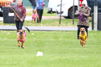 1 Prelim RR Open 2, Kinky Opal-9132