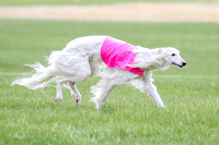 1 Prelims Fch, Finnegan Joker-9451