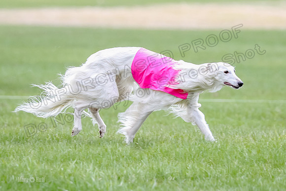 1 Prelims Fch, Finnegan Joker-9451