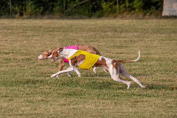1prelims Open 4 Havok Joanna-3384