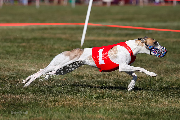 Prg 4, Race 3, Fortuna Rosie Mika Warrior-2541