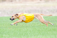1 Prelim RR Open 1, Islay Kya Ace-9121