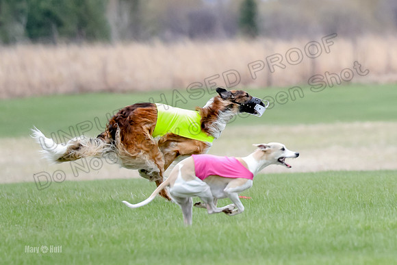 3 BIF, Bene Reno Libby-9422