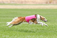 1 Prelims Silken Singles Charlie-9889