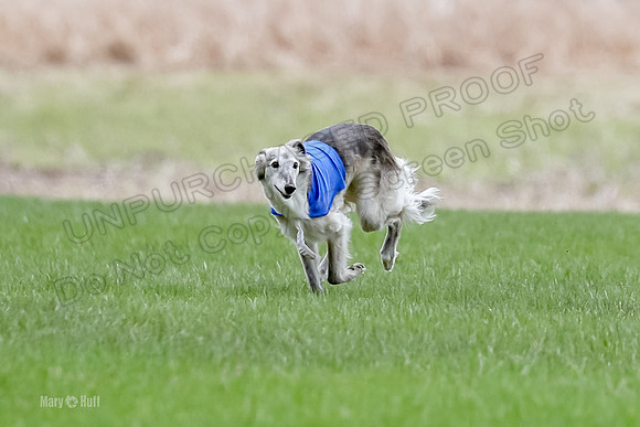 1 Prelims Silken Singles Moonshine-9839