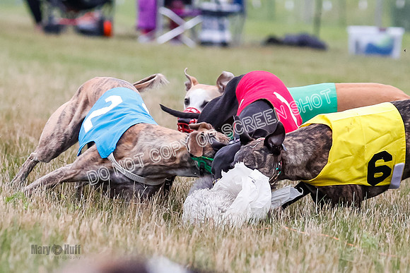 Prg 3, Race 5, Sid-Alex-Zed-Fama-Talim-1206