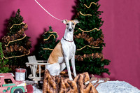 xmas Arthur-630-Edit