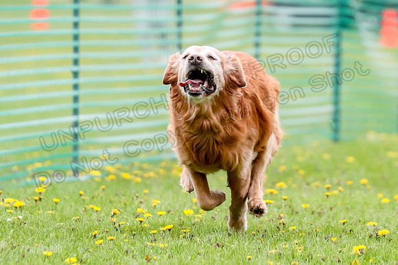 FCE4I8602