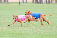 1 Prelim RR Open 1, Islay Kya Ace-9127