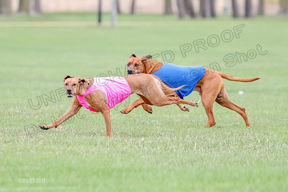 1 Prelim RR Open 1, Islay Kya Ace-9127