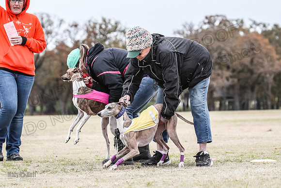 Finals Open 4 Rigel Trixie-4087