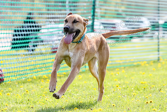 AE4I1079