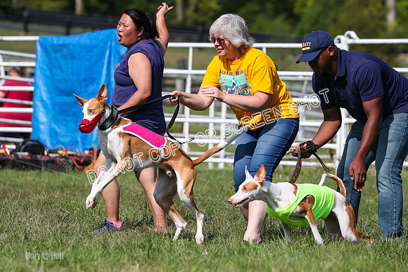 Open Prelim B2, Latte, Wizard-7849