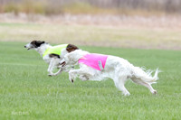 1 Prelims Fch, Finnegan Joker-9460