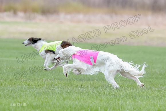 1 Prelims Fch, Finnegan Joker-9460