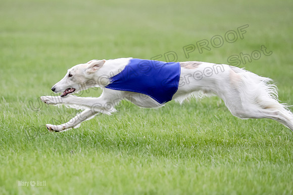 2 Finals Silken Singles Ripley-0496