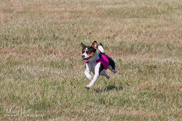 IMG_3185