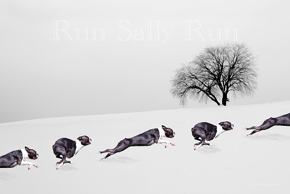 Chvilicek Winter Run
