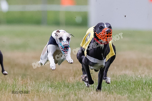 Prg 3, Race 4, Rowan-Jett-Blaze-Shimmy-Bogie-1121