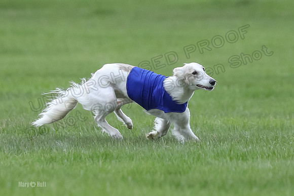 2 Finals Silken Singles Ripley-0486