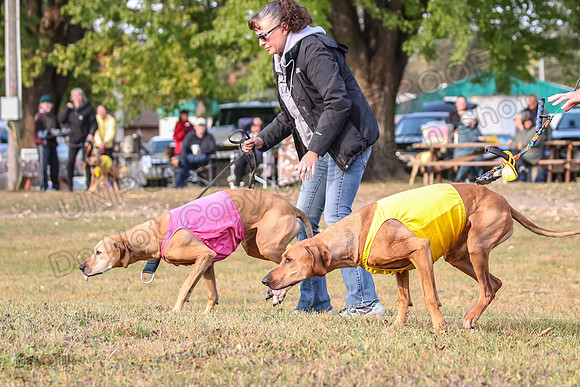 1 Prelims Vet Libby Xena-0388