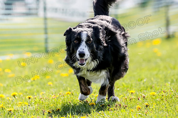 AE4I1488