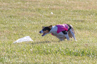 IMG_2637