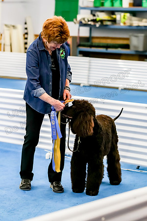 Novice B Ribbons-3470